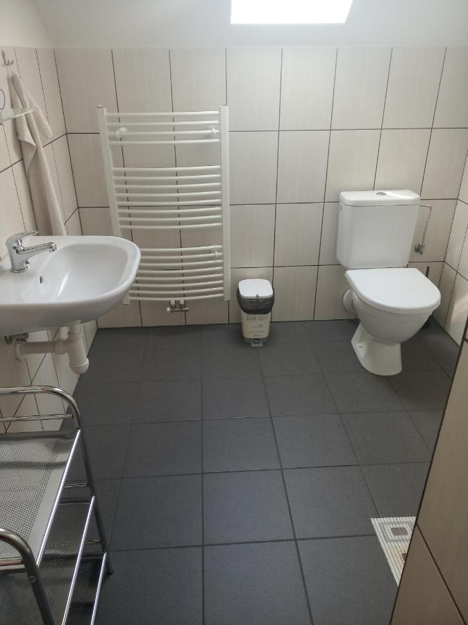 Penzion Na Podlesí ve Zlaté Koruně Zlatá Koruna Exterior foto